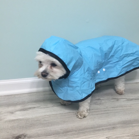 Other - ❤️HP Plastic Dog Rain Coat